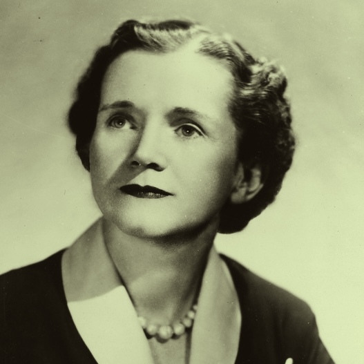 CCR Exploring Rachel Carson’s Life and The Divestment Movement