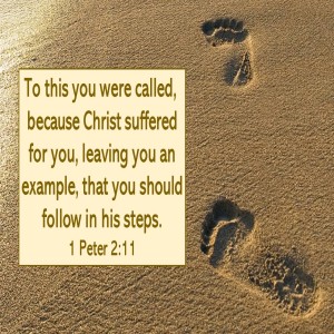 Outcomes (Genesis 21:22-34)