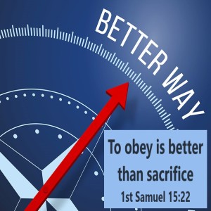 Road Trip (Genesis 17:15-27)