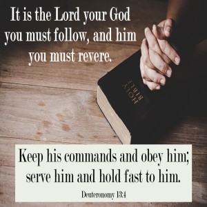 A Few Key Points (Genesis 18:16-33)