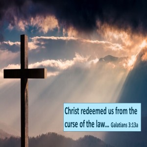 We Don’t Act Like That (Galatians 4:21-31)