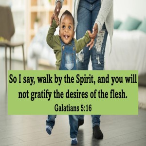 Yield (Galatians 5:16-26)