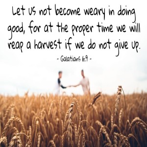 A Way Out of the Mess (Galatians 6:1-10)