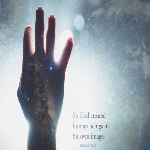 Aligned With God’s Intentions (Genesis 1:26-27; 2:23-25)