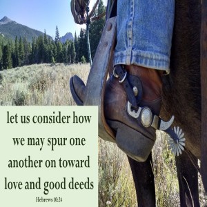 Don‘t Fade Away (Hebrews 10:19-25)