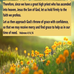 A Beautiful Picture (Genesis 15:1-6)
