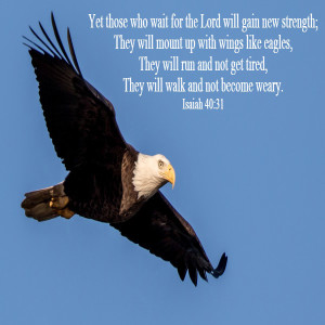 Make It Happen (or maybe not!) - Genesis 16:1-16