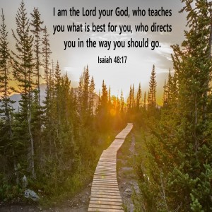 Easily Overlooked (Genesis 18:1-15)