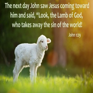 Exam Week! (Genesis 22:1-19)