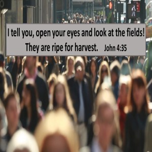 The Harvest: Fulfilling Your Life‘s Calling (Chris McClemens)