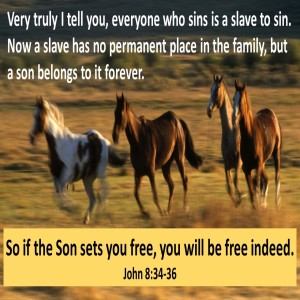 Life Skills (Galatians 5:1-6)