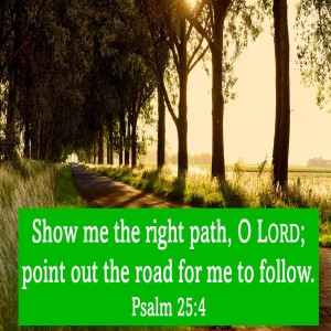 Show Me The Way (Genesis 24:1-67)