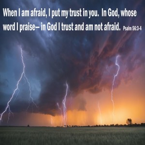 Where Do I Turn? (Genesis 25:19-26)