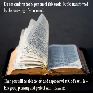 As Different as Night and Day (Genesis 25:24-34)
