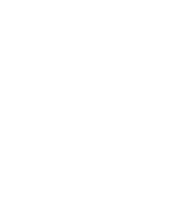 Honor walk 2015