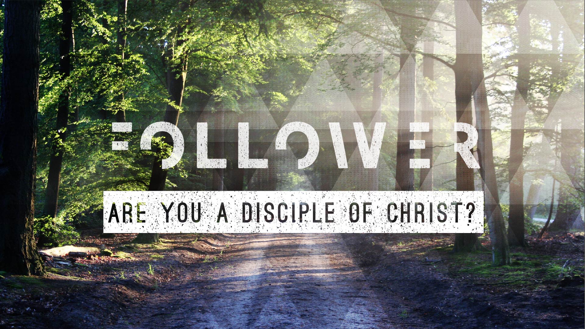 Follower: Are You A Disciple of Christ