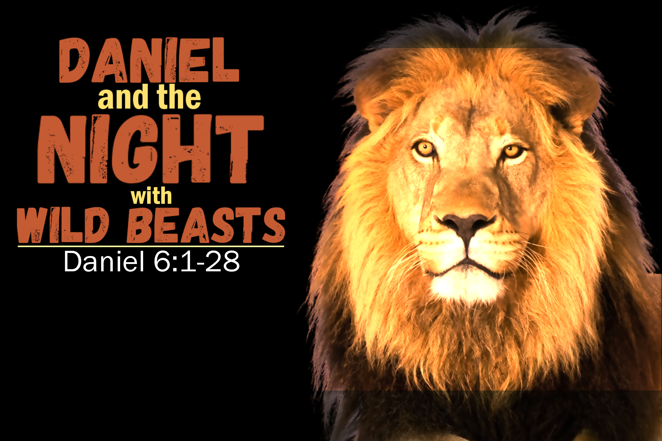 Daniel and the Night with Wild Beasts - March 6, 2016 AM