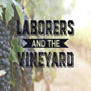 The Laborers and the Vineyard