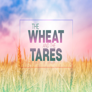 Parable of the Wheat and Tares