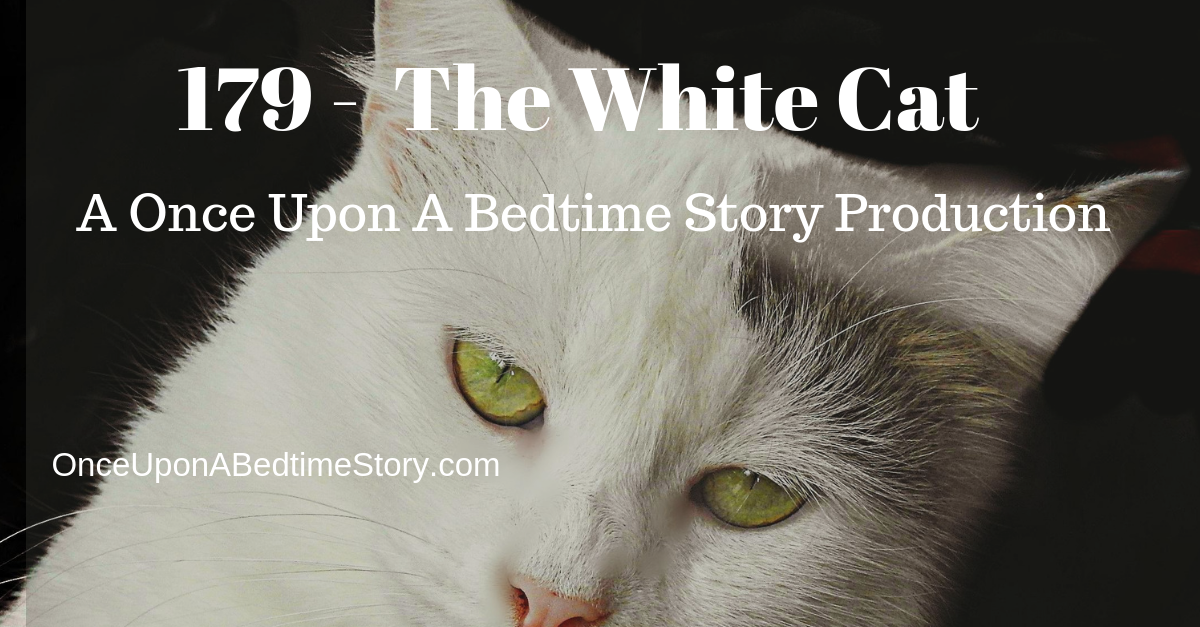 179 - The White Cat