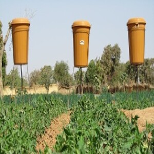 Riego por goteo para el tomate