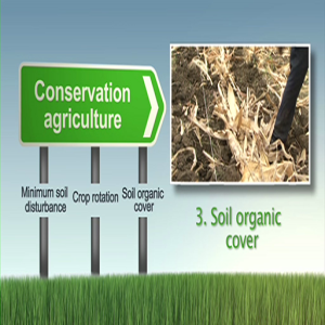 SLM12 Conservation agriculture (Summary)