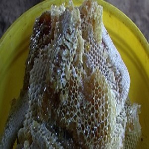 Turning honey into money (Summary)