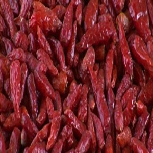 Drying and storing chillies (Summary)