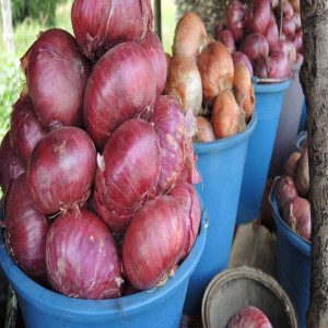 Making more money from onions (Summary)