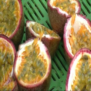 Staking and pruning passion fruit (Summary)