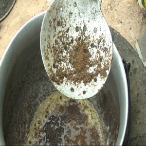 Fabriquer un condiment à base de soja (résumé)