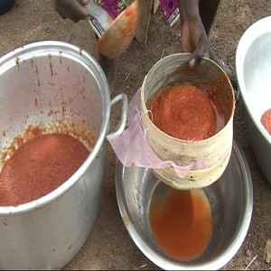 Tomato concentrate and juice (Summary)