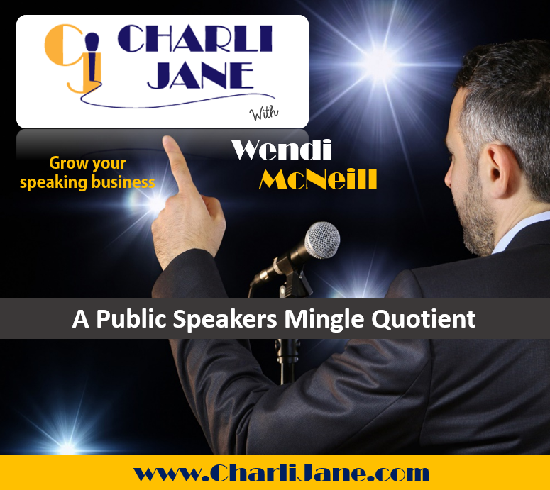 13: A Public Speakers Mingle Quotient