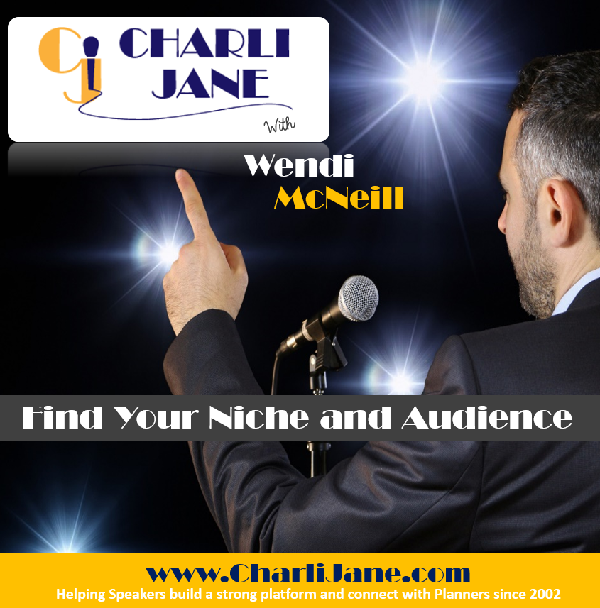 9: Finding your Niche and Audience