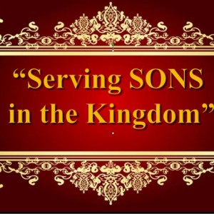 Serving Sons in the Kingdom Apostle Don