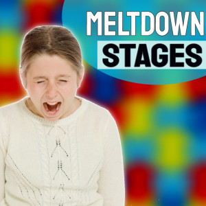 Meltdowns Vs. Tantrums - Meltdown Stages