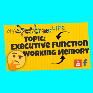 My Spectrum Life  Executive Functions Working Memory