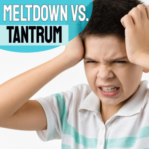 Autism Meltdowns vs Tantrums Do You Know The Difference?