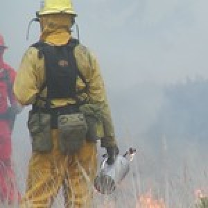 California Wildfires and the Importance of Cultural Fire Management