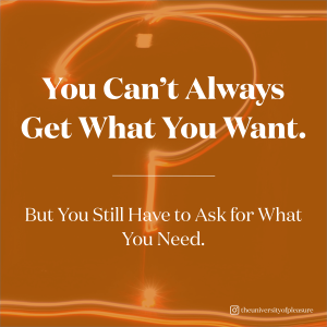 You Can‘t Always Get What You Want. But You Still Need to Ask for What you Need!