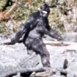 Episode 55 - THE PATTERSON GIMLIN BIGFOOT TAPE!