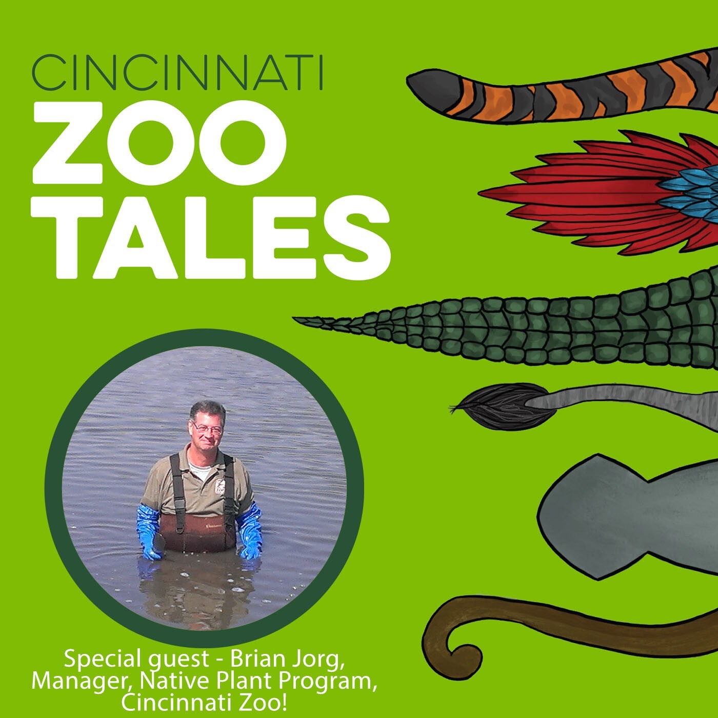 Cincinnati Zoo Tales
