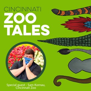 Sam Kornau, Cincinnati Zoo