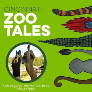 Wendy Rice, Cincinnati Zoo