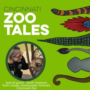 Sarah Swanson, Cincinnati Zoo