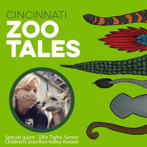 Ellie Tighe, Cincinnati Zoo