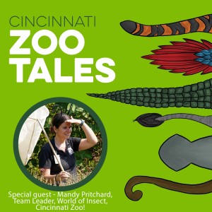 Mandy Pritchard, Cincinnati Zoo
