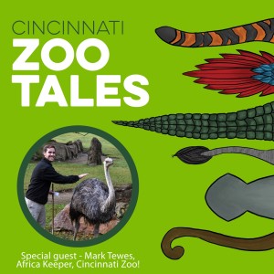 Mark Tewes, Cincinnati Zoo