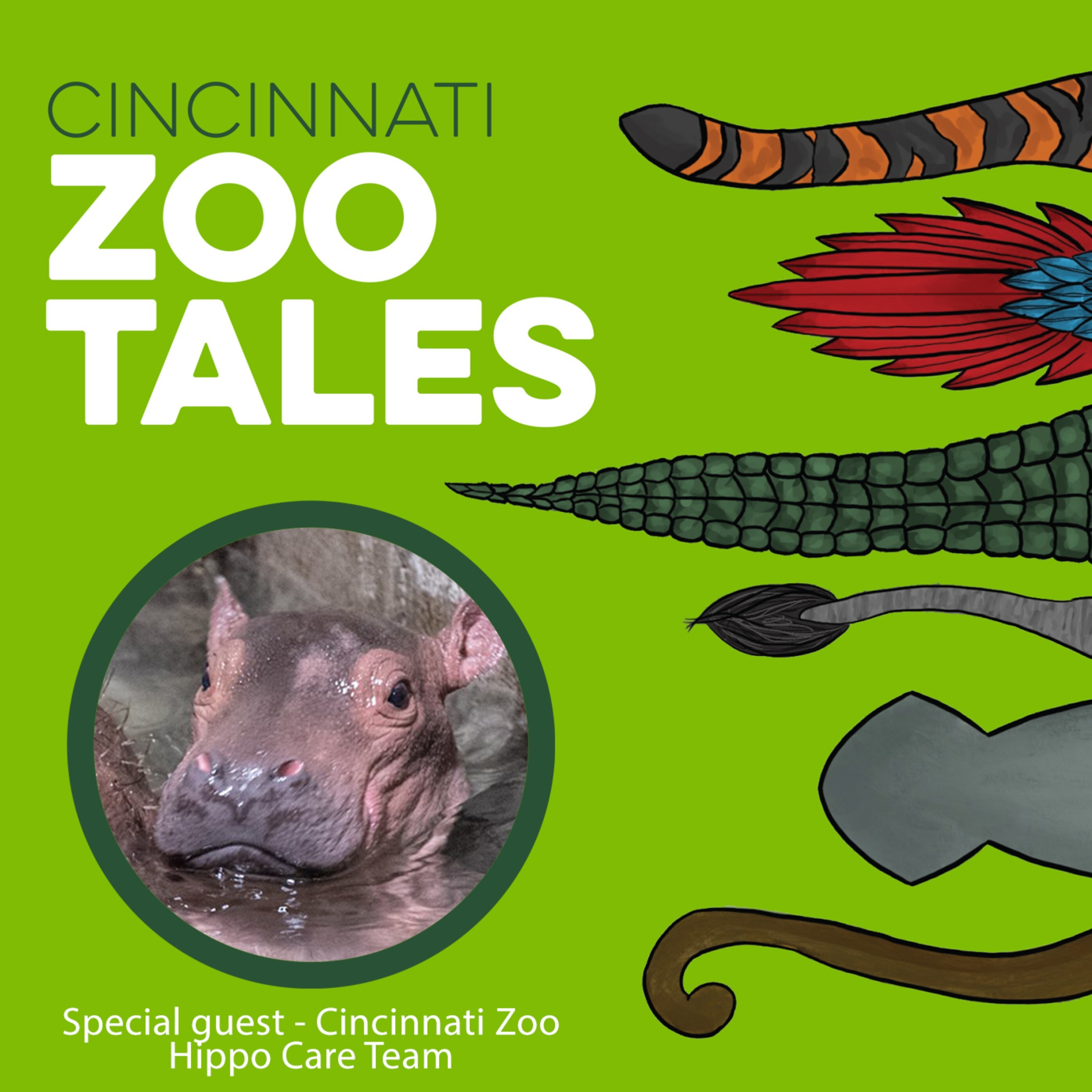Cincinnati Zoo Tales