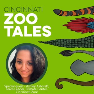 Ashley Ashcraft, Cincinnati Zoo